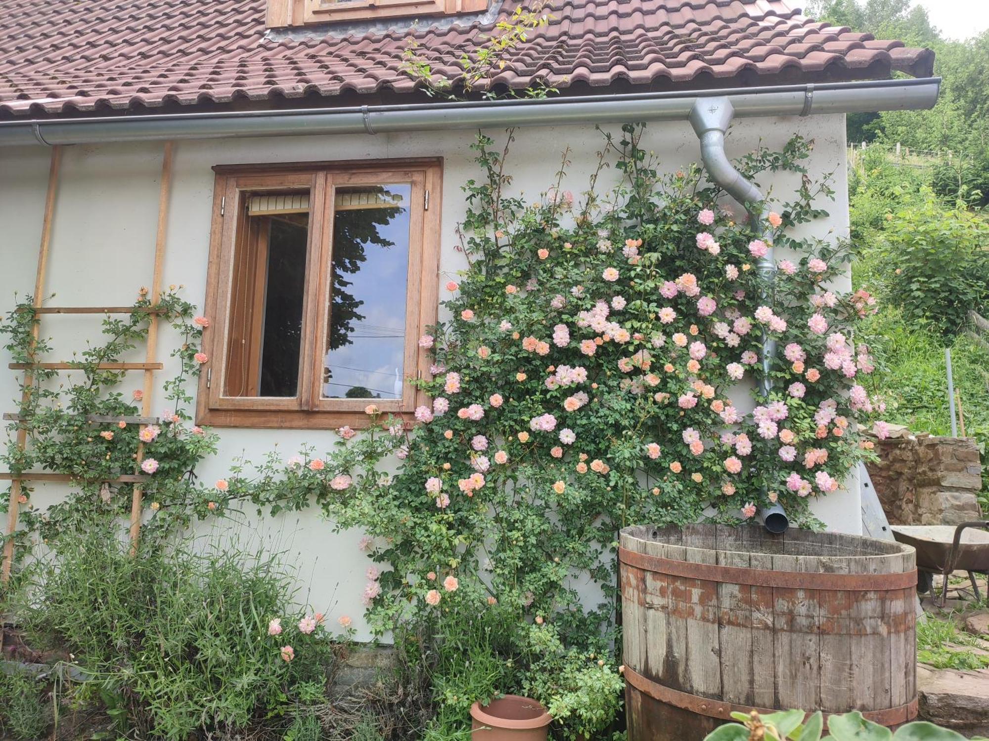 Apartamento Stodola Svaty Stepan Bylnice Exterior foto